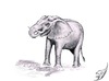 Cartoon: Elefant 2 (small) by swenson tagged animal tier elephant elefant afrika africa 2010