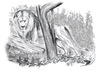 Cartoon: Panthera leo persica (small) by swenson tagged löwe,lion,leo,leon,tier,animal,afrika,africa,asia,asien,india,indien,persien,persia