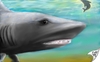 Cartoon: Sharkwater (small) by swenson tagged morphingtargetpainting hai shark see meer wahle wal moon mond sky haven himmel