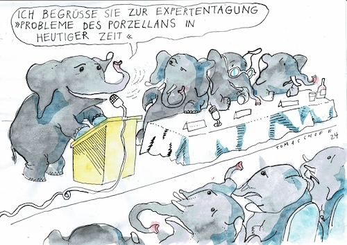 Cartoon: Porzellan (medium) by Jan Tomaschoff tagged experten,hochstapler,experten,hochstapler