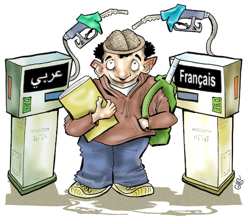 Cartoon: Bilingualism (medium) by Damien Glez tagged french,arabic,bilingualism,french,arabic,bilingualism