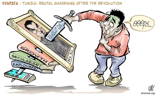 Cartoon: Tunesi apres revoluti (medium) by Damien Glez tagged revolution,tunesia,work,jobs,wealth,politicians