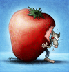 Cartoon: BODO Magazin - Erdbeerbodo (small) by volkertoons tagged volkertoons,cartoon,illustration,bodo,ratte,rat,erdbeere,strawberry,obst,frucht,fruit