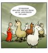 Cartoon: Lama Gag (small) by volkertoons tagged cartoon volkertoons humor lama lamas tiere animals natur nature religion anden