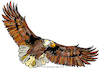 Cartoon: Fliegender Adler (small) by cartoonist_egon tagged adler,luft,air,natur