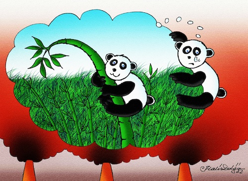 Cartoon: PANDA (medium) by halisdokgoz tagged panda