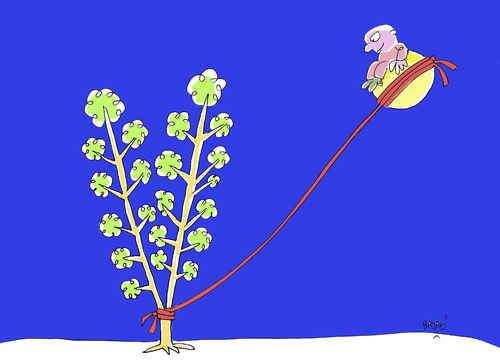 Cartoon: Ruhe (medium) by Hayati tagged ruhe,sukunet,sessizlik,ay,guenes,adam,agac,yalnizlik,einsamkeit,einsam,schnurr,verbindung,natur,rot,tree,hayati,boyacioglu