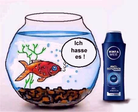 Cartoon: Anti-Schuppen-Shampoo (medium) by sier-edi tagged fisch,aquarium,wasser,antischuppen,shampoo,hass