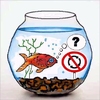 Cartoon: Verkehrsregeln (small) by sier-edi tagged fisch,glas,verkehrszeichen,regeln,verkehr