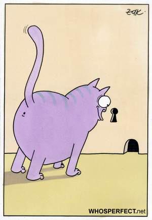 Cartoon: katze (medium) by WHOSPERFECT tagged katze,cat
