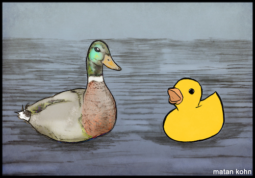 Cartoon: ducks (medium) by matan_kohn tagged illustration,drawing,pencil,animals,duck,ducks,funny,sea,digitalart,art,toon,watercolor,memes,love,color,crazy,water,artistic,smallvsbig,toy,toyduck,toys