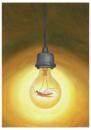 Cartoon: Mosquito Light (small) by Davor tagged insect lamp bulb licht glühbirne