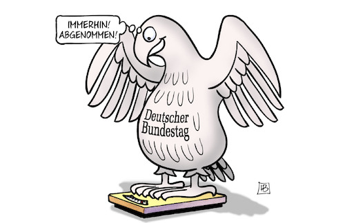 Bundestag abgenommen