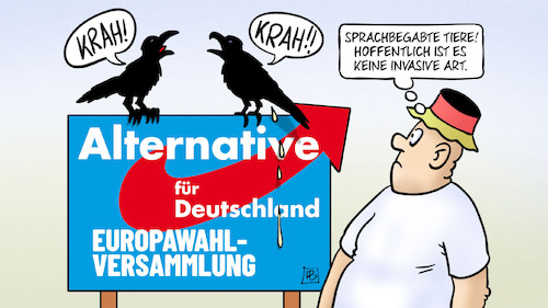 Cartoon: Krah (medium) by Harm Bengen tagged krah,sprachbegabte,tiere,invasive,art,krähen,afd,europa,eu,kandidaten,europawahl,rechtsradikal,parteitag,harm,bengen,cartoon,karikatur,krah,sprachbegabte,tiere,invasive,art,krähen,afd,europa,eu,kandidaten,europawahl,rechtsradikal,parteitag,harm,bengen,cartoon,karikatur