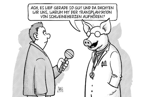 Schweineherzen
