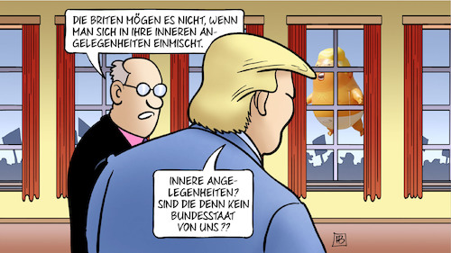 Trump-Einmischung