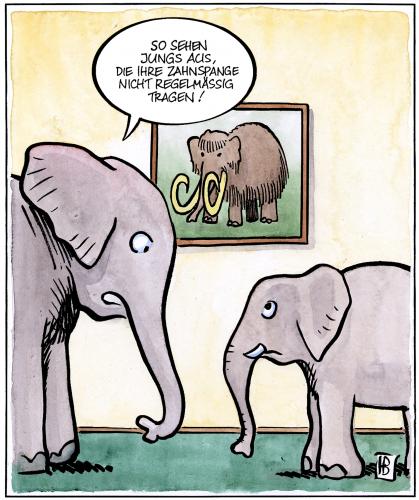 Cartoon: Zahnspange (medium) by Harm Bengen tagged zahnspange,elefant,mammut,elfenbein,zahn,denitst,zahnarzt,kieferorthopäde,zahnspange,elefant,gebiss,mammut,jugend,beauty,gebogen,zähne,elfenbein,stoßzähne,zahnarzt,orthopädie,krumm,schief,spange,zahnkorrektur,kieferkorrektur,dentist,kieferorthopäde,erziehung,pädagogik,belehrung,elefantenbaby,urtier,wollelefant,rüsseltier