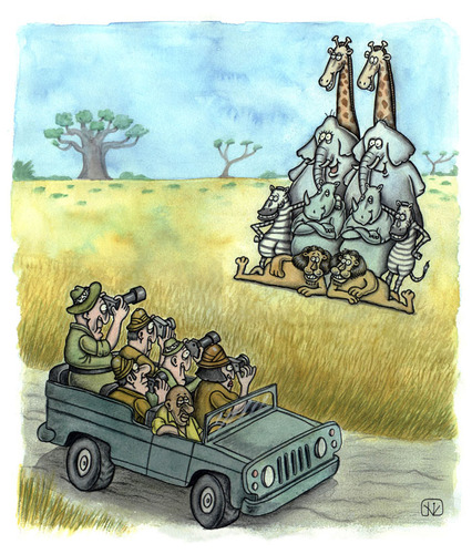 Cartoon: Photo Safari (medium) by vladan tagged photo,safari,animals,savanna,camera,jeep,giraffe,elephant,zebra,lion,rhino