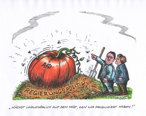 Cartoon: AfD-Wachstum (medium) by mandzel tagged afd,merkel,gabriel,regierungspolitik,flüchtlinge,asyl,wahlen,kürbis,afd,merkel,gabriel,regierungspolitik,flüchtlinge,asyl,wahlen,kürbis
