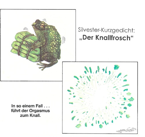 Cartoon: Das letzte Böllern (medium) by mandzel tagged knallfrosch,silvester,irrtum,detonation,knallfrosch,silvester,irrtum,detonation