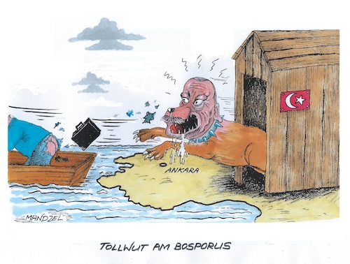 Cartoon: Erdogan außer Rand und Band (medium) by mandzel tagged türkei,eu,usa,diplomaten,erdogan,brüskierung,tollwut,türkei,eu,usa,diplomaten,erdogan,brüskierung,tollwut