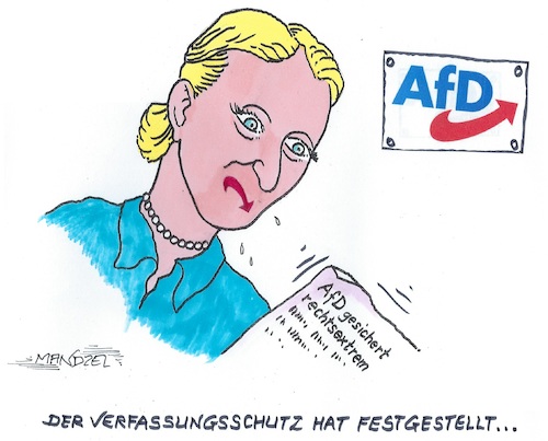 Cartoon: Fallende Mundwinkel (medium) by mandzel tagged weidel,afd,deutschland,verfassungsschutz,weidel,afd,deutschland,verfassungsschutz