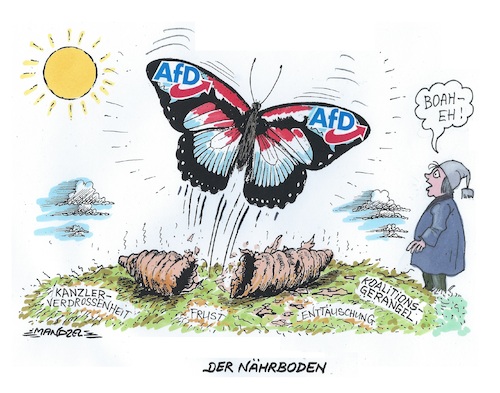 Cartoon: Metamorphose (medium) by mandzel tagged deutschland,afd,merz,regierung,fehlentwicklungen,regierungsunfähigkeit,frust,enttäuschung,deutschland,afd,merz,regierung,fehlentwicklungen,regierungsunfähigkeit,frust,enttäuschung