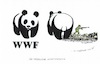 WWF im Fokus