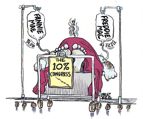 Cartoon: FANNIE  FREDDIE (medium) by barbeefish tagged congress