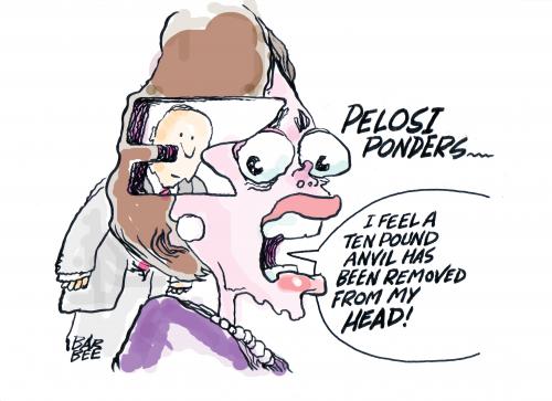 Cartoon: SPEAKER PELOSI (medium) by barbeefish tagged hole,is