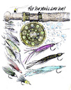 Cartoon: saltwater flies (small) by barbeefish tagged angler
