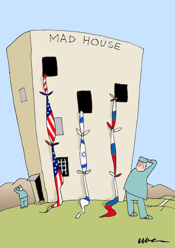 MAD HOUSE MAD HOUSE