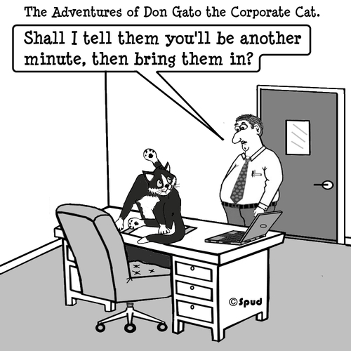 Cartoon: Don Gato 6 (medium) by cartoonsbyspud tagged cartoon,spud,hr,recruitment,office,life,outsourced,marketing,it,finance,business,paul,taylor