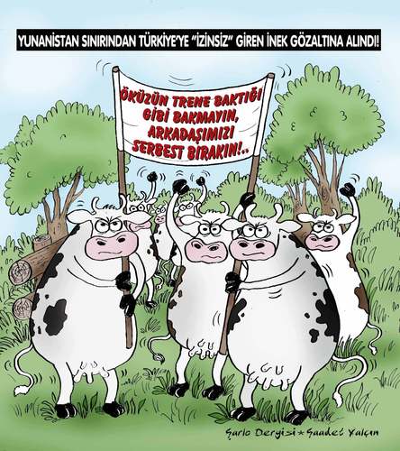 Cartoon: cover (medium) by saadet demir yalcin tagged cover