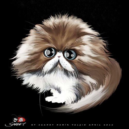 Cartoon: Persian Cat  - 2 (medium) by saadet demir yalcin tagged saadet,sdy,cat