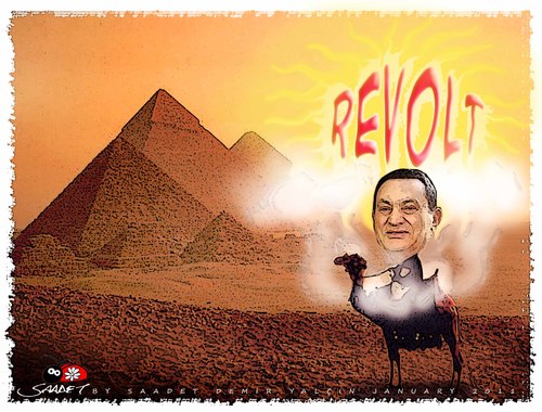 Cartoon: Revolt in Egypt... (medium) by saadet demir yalcin tagged saadet,syalcin,sdy,turkey,egypt