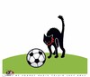 Cartoon: Turkish football thrown game... (small) by saadet demir yalcin tagged saadet,sdy,football