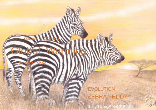 Cartoon: EVOLUTION  ZEBRA TEDDY (medium) by T-BOY tagged evolution,zebra,teddy