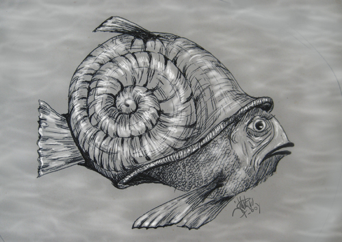 Cartoon: SNAIL FISH (medium) by T-BOY tagged snail,fish