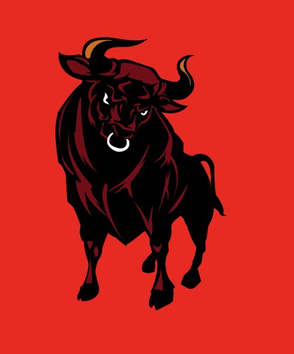 Cartoon: Bull_1 (medium) by Braga76 tagged bull,rage,sport