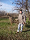 Cartoon: willow sculpture (small) by geomateo tagged willow,sculpture,stag,reindeer,ecosculpture,deer