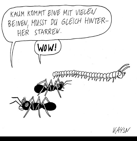 Cartoon: Ameisen und Tausendfüßler (medium) by KAYSN tagged ameise,tausendfüßler