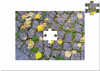 Cartoon: HERBSTPUZZLE (small) by lesemaus tagged herbst,puzzle