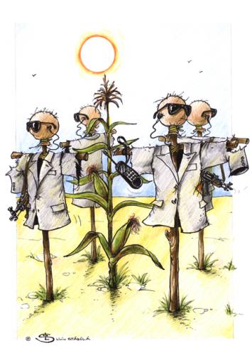 Cartoon: agriculture (medium) by Liviu tagged scarecrows,corn,protection,