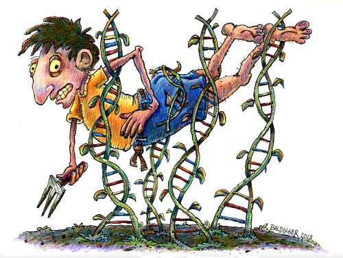 Cartoon: GMO Danger (medium) by dbaldinger tagged hazards,dna,farming,agriculture,gmo