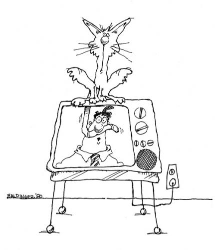 Cartoon: Program Interruption (medium) by dbaldinger tagged cat,television,animals,pets,
