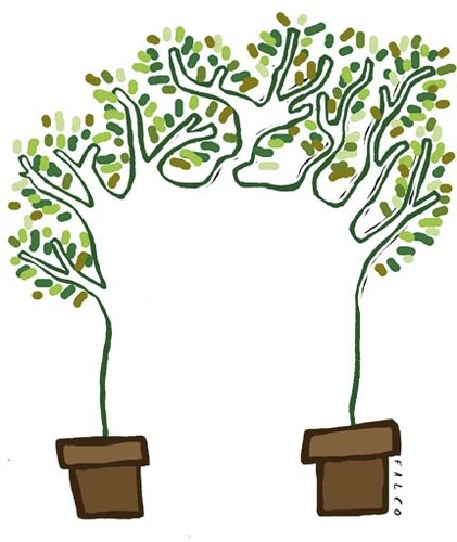 Cartoon: plant (medium) by alexfalcocartoons tagged plant