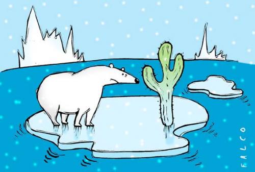 Cartoon: what...?!?!?!?! (medium) by alexfalcocartoons tagged climate,change,bear,north,pole,enviroment,