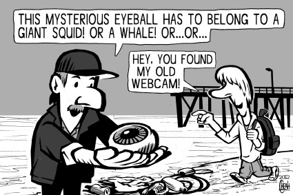 Cartoon: Giant eyeball (medium) by sinann tagged eyeball,giant,discovery,find,beach,squid,whale,webcam