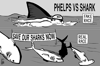 Cartoon: Phelps vs Shark (medium) by sinann tagged phelps,michael,shark,race,fake